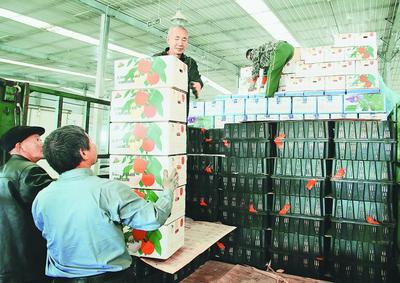 東寧奏響全面振興強音，農副產品沿邊開放拓新局